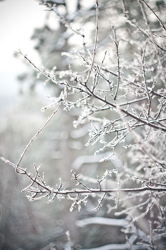 Фотографія Зима / Юра Трохим / photographers.ua