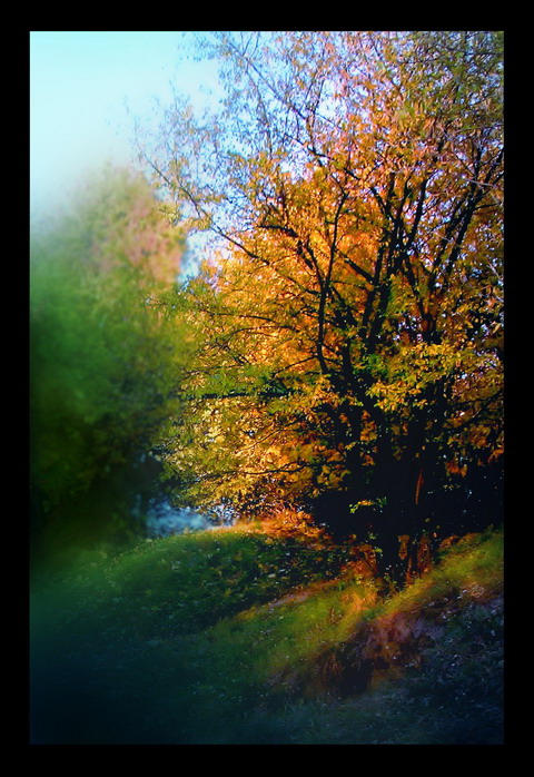 Фотографія Разное / Ігор Бець / photographers.ua