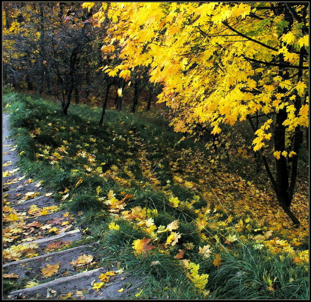 Фотографія Взмах / Ігор Бець / photographers.ua