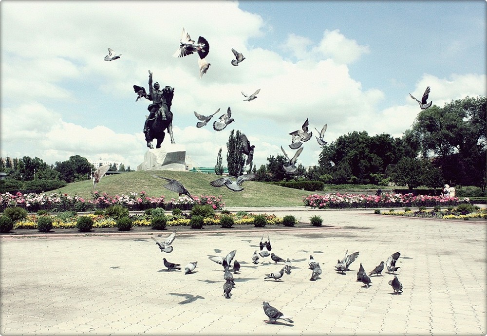 Фотографія Pigeons / Nelly Konstantinova / photographers.ua