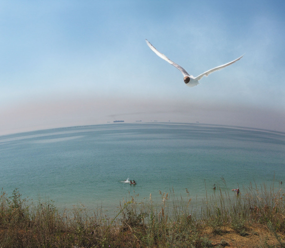 Фотографія Окно в отпуск / Павел Скомаровский / photographers.ua