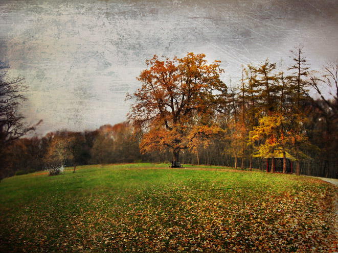 Фотографія В память уходящей ЗОи / Павел Скомаровский / photographers.ua