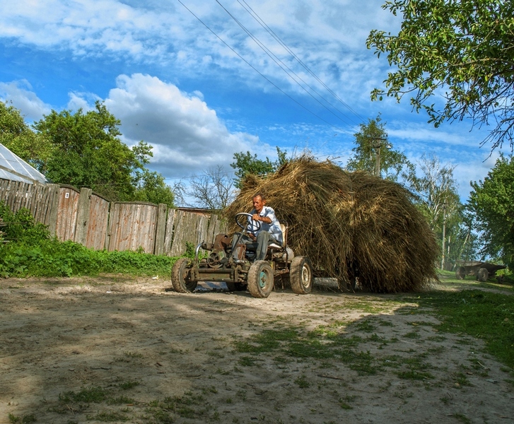 Фотографія З думкою про зиму. / Роман Шевченко / photographers.ua