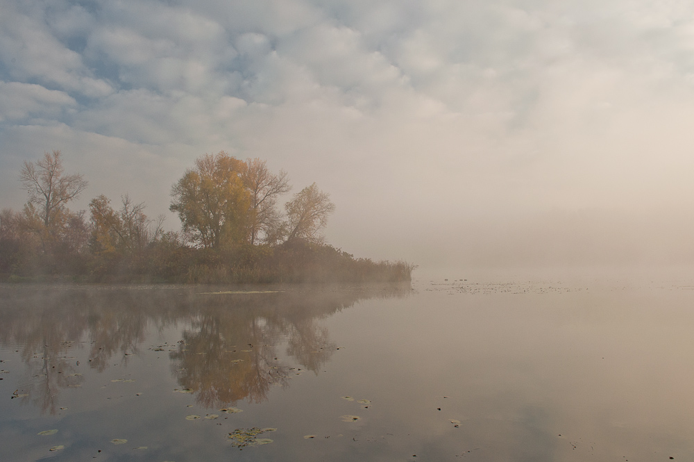 Фотографія Молочный туман / Олена Z / photographers.ua
