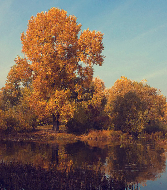 Фотографія *** / Курій Олександр / photographers.ua