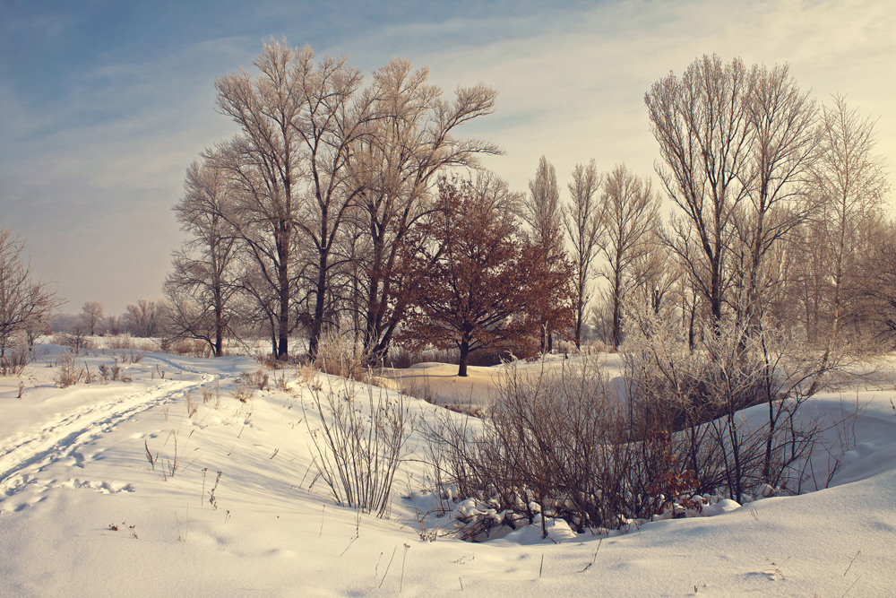 Фотографія *** / Курій Олександр / photographers.ua