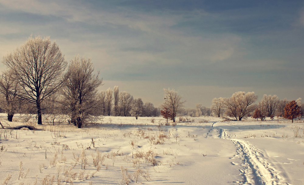 Фотографія *** / Курій Олександр / photographers.ua