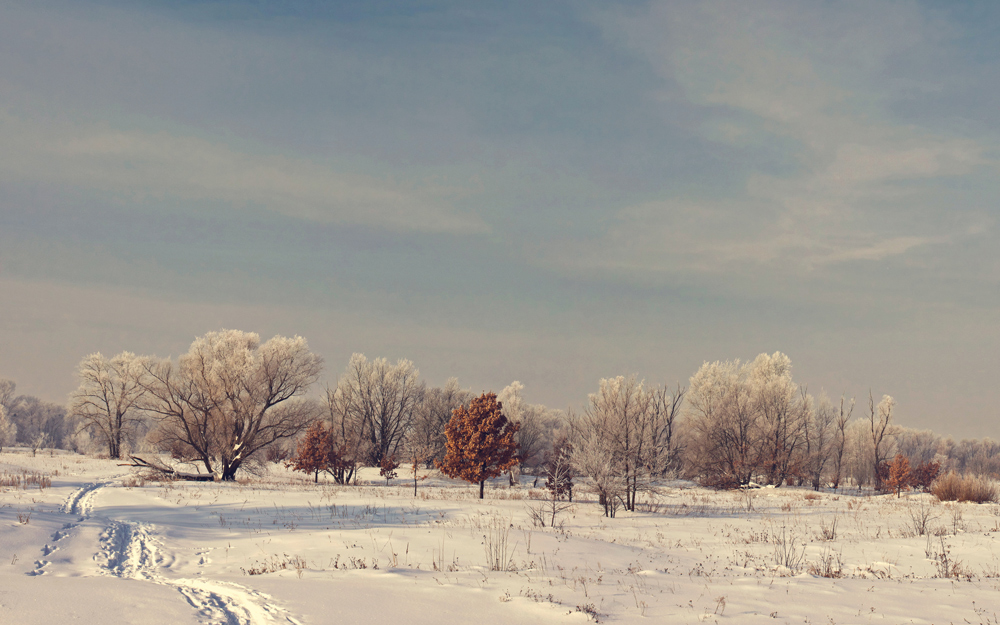 Фотографія *** / Курій Олександр / photographers.ua