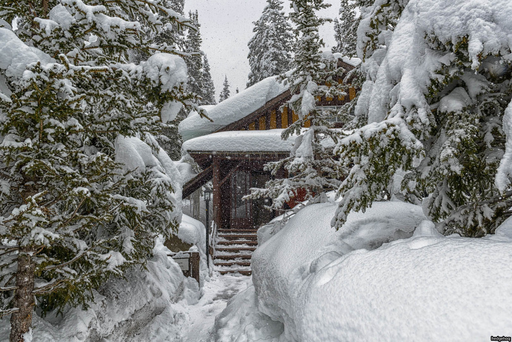 Фотографія Немножко снега. / Hedgehoq / photographers.ua