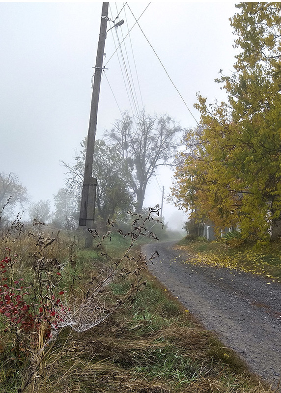 Фотографія туманний ранок на селі / Serhii Karpenko / photographers.ua