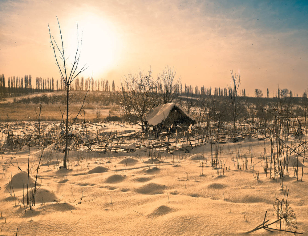 Фотографія winter sunrise / Алексей Румянцев / photographers.ua