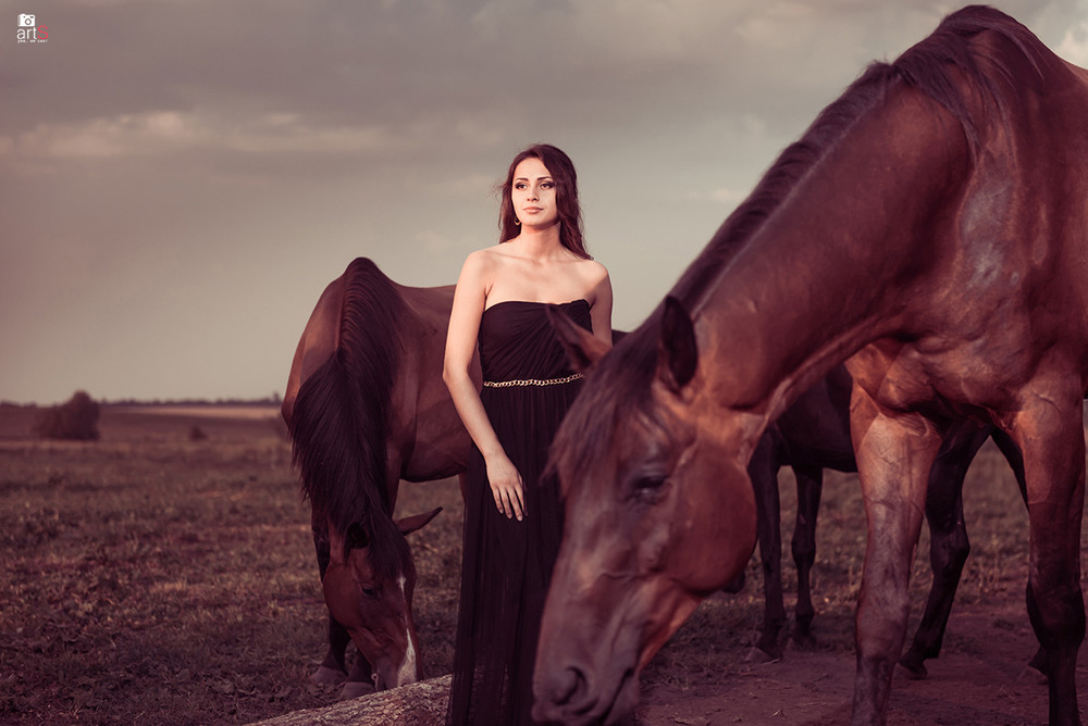 Фотографія на закате с лошадьми / Алексей Румянцев / photographers.ua