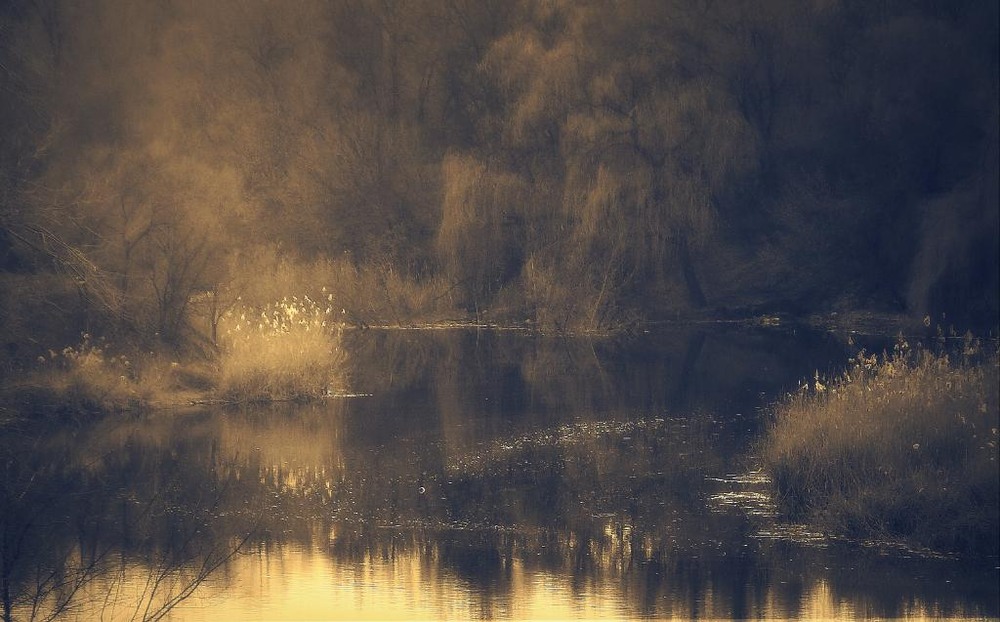 Фотографія Пейзаж / dysha / photographers.ua