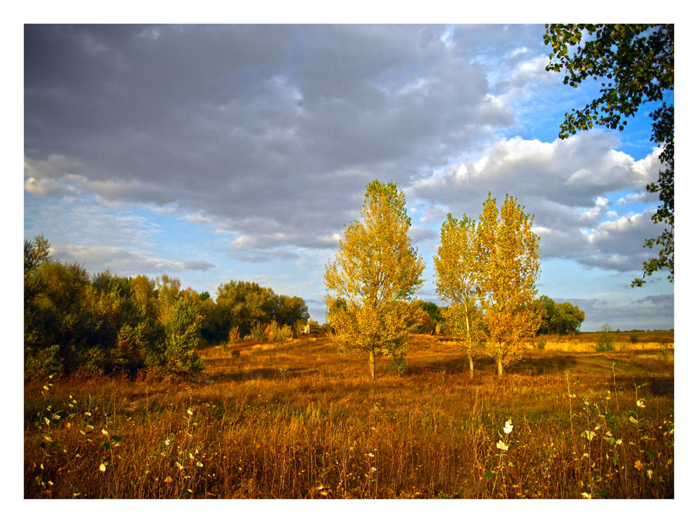 Фотографія про осінь / Ent / photographers.ua
