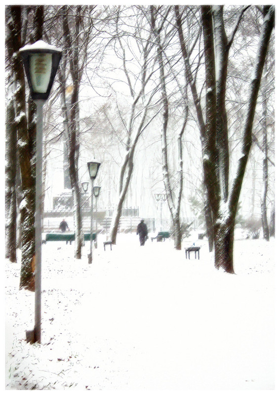 Фотографія зимовим  парком / Ent / photographers.ua