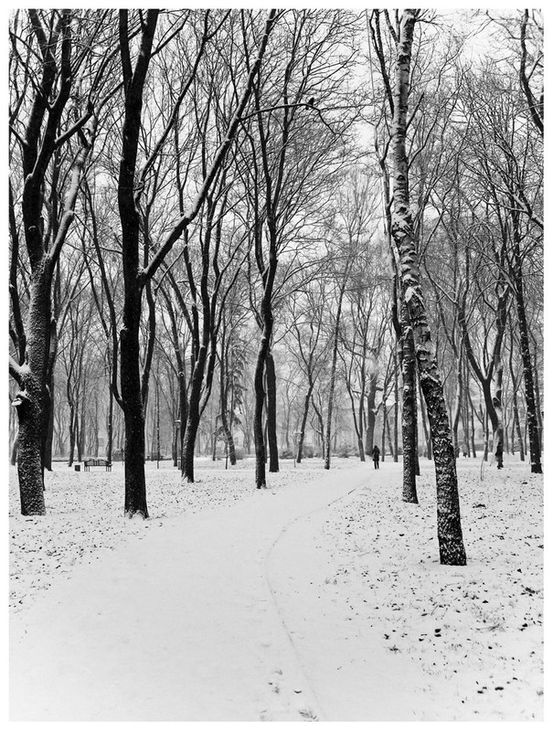 Фотографія зимовим парком / Ent / photographers.ua