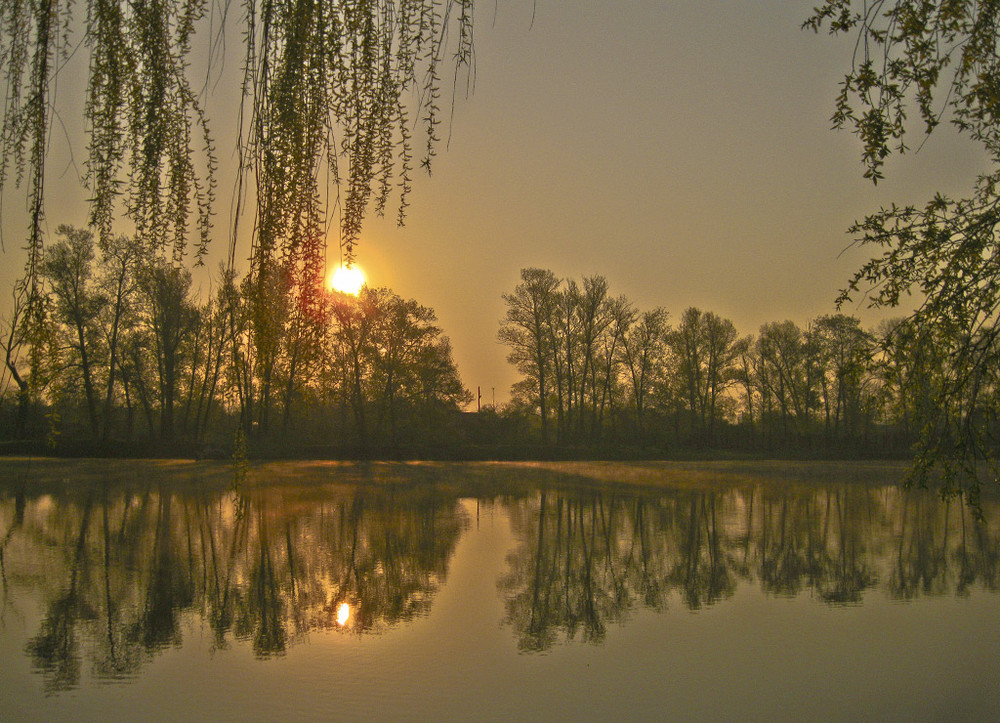 Фотографія ... ранком ... / Ent / photographers.ua