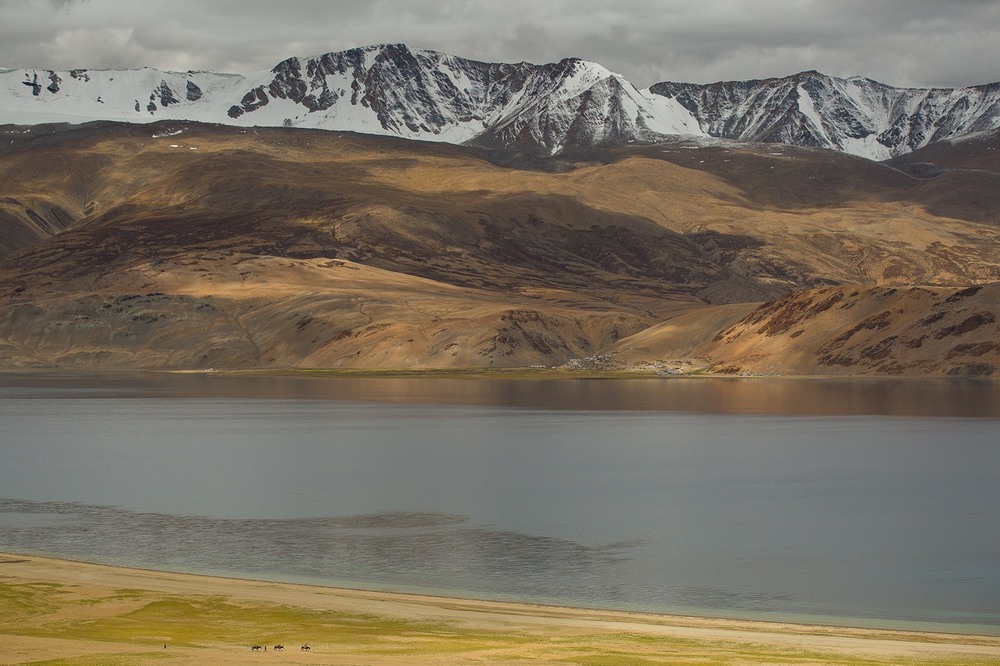 Фотографія Высокогорный Тибет. Озеро Тсо-Морири / Дмитрий Ч / photographers.ua
