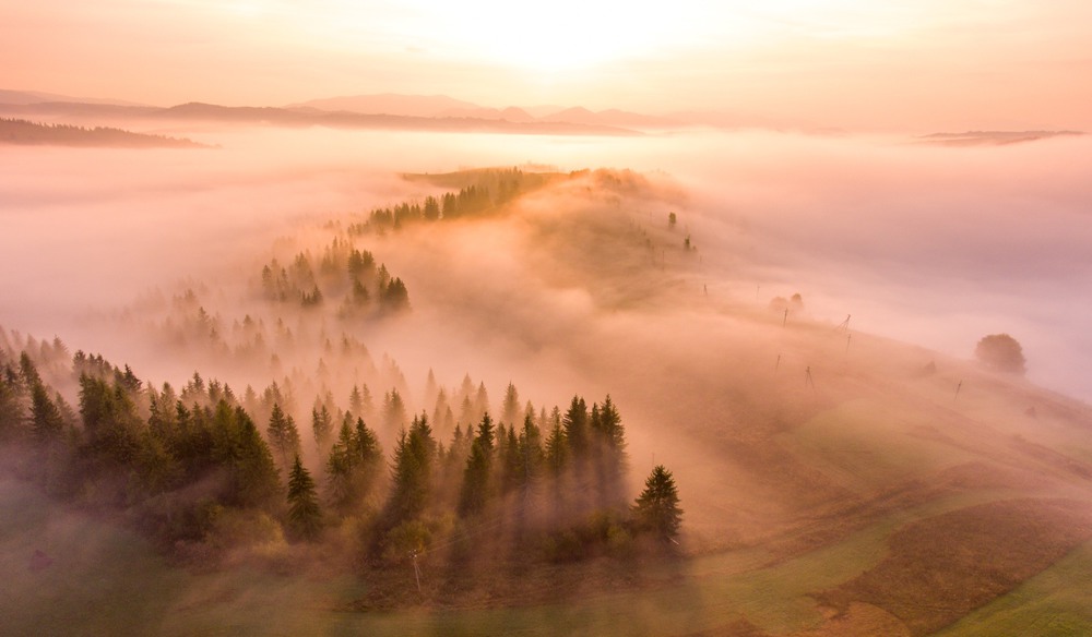 Фотографія Туманное утро в Карпатах 2 / Дмитрий Ч / photographers.ua