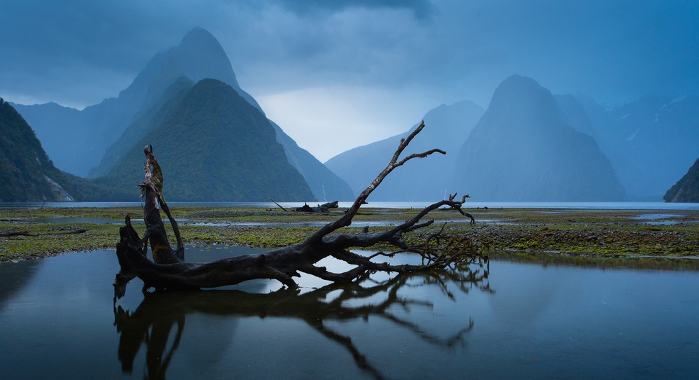 Фотографія Фьорди Нової Зеландії / Дмитрий Ч / photographers.ua