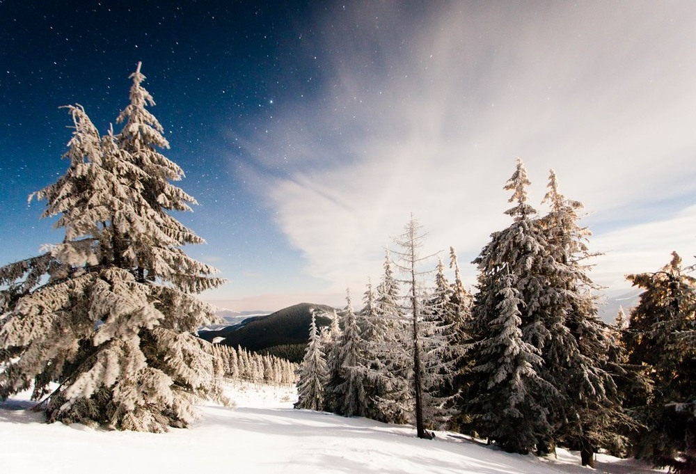 Фотографія Ночная зима / Дмитрий Ч / photographers.ua