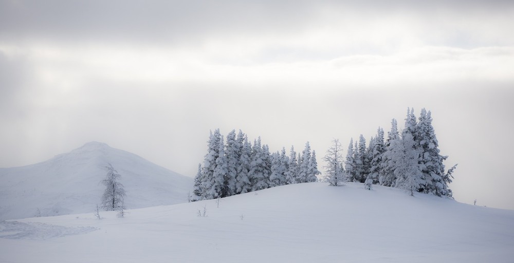 Фотографія Тишина снега / Дмитрий Ч / photographers.ua
