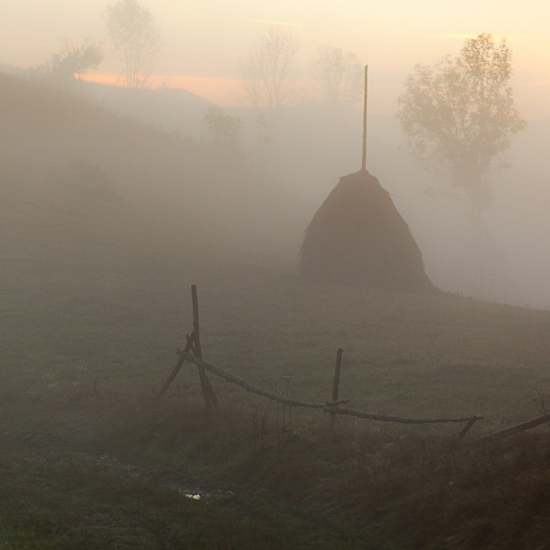 Фотографія раннее утро / Дмитрий Ч / photographers.ua