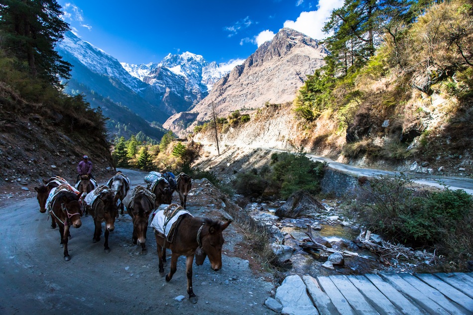 Фотографія Непал, ущелье реки Кали-Гандаки / Дмитрий Ч / photographers.ua