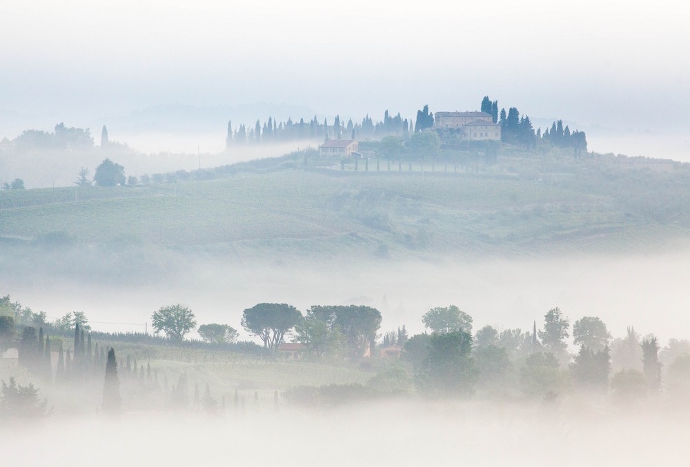 Фотографія Туманное утро в Тоскане / Дмитрий Ч / photographers.ua