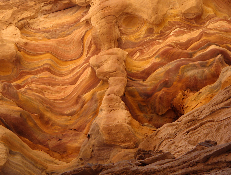 Фотографія Рисунки природы / Алла Сарана / photographers.ua