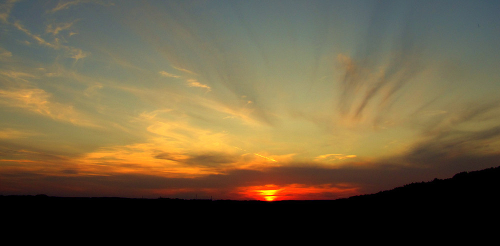 Фотографія Вечірнє сонце, дякую за день.... / Алла Сарана / photographers.ua