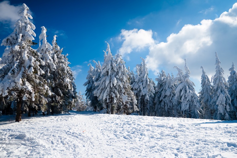 Фотографія зима / Александр Смушко / photographers.ua