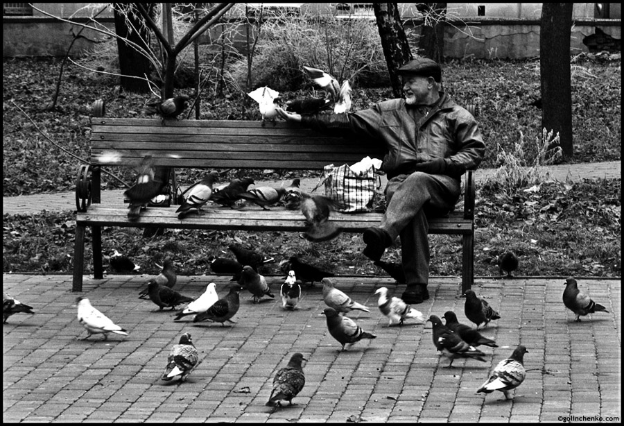 Фотографія Жанр / Pafos / photographers.ua