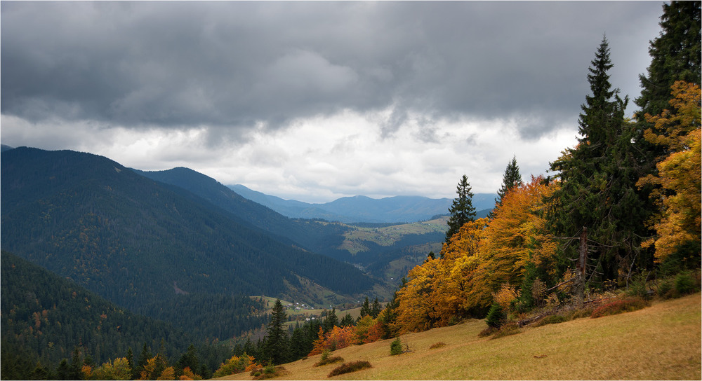 Фотографія Осень в горах / Уланов Максим / photographers.ua
