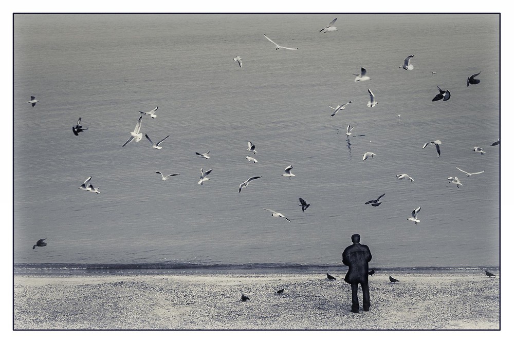 Фотографія птицы... / Бабенко Елена / photographers.ua