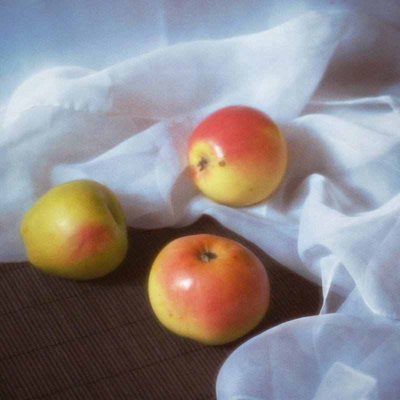 Фотографія зимние яблоки / babuka / photographers.ua