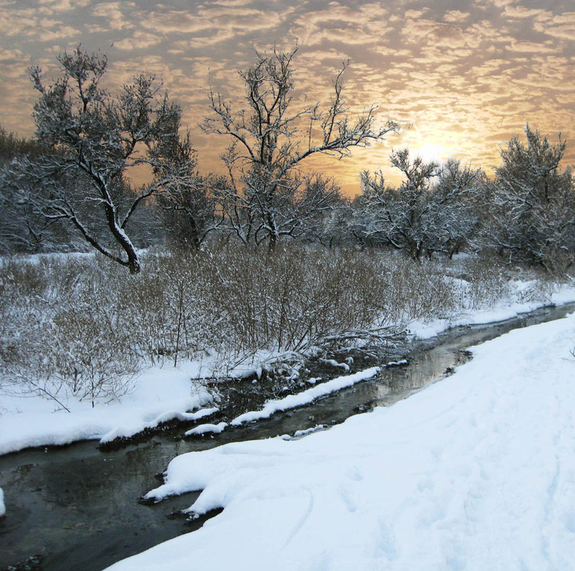 Фотографія В январе, в январе много снегу во дворе... / Алина Боднар / photographers.ua