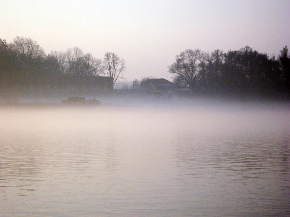 Фотографія Туман на реке / Анна Читари-Мурза / photographers.ua