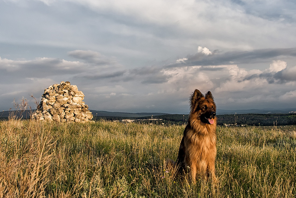 Фотографія * / Дмитрий Д. / photographers.ua