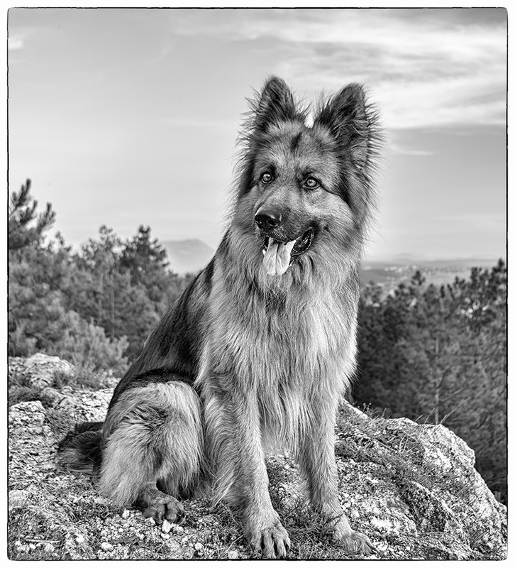 Фотографія ** / Дмитрий Д. / photographers.ua