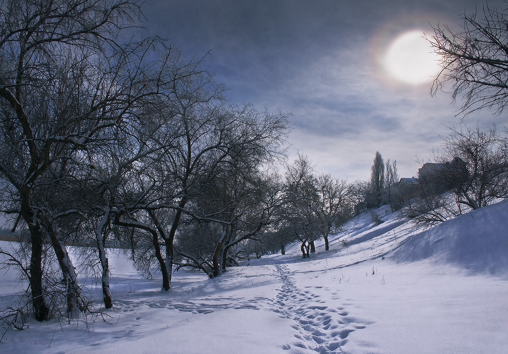 Фотографія Зимний этюд / Андрей Ракул / photographers.ua
