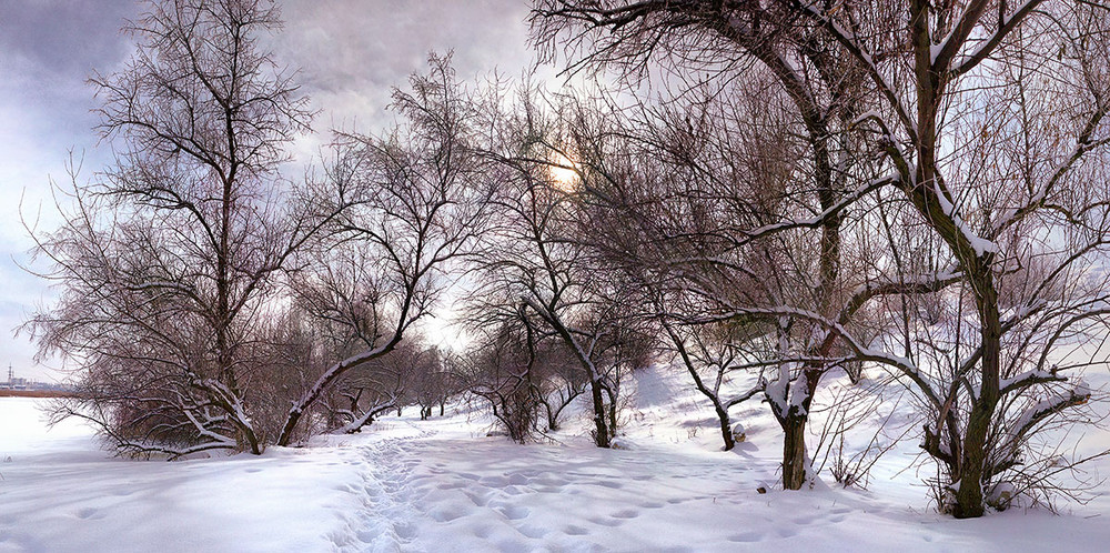 Фотографія зимняя зарисовка / Андрей Ракул / photographers.ua