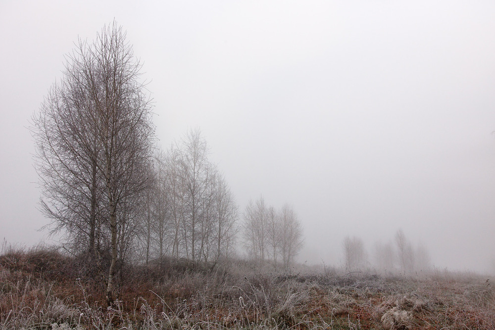 Фотографія Исчезающие в тумане / Igor Bulakh  Булах Ігор / photographers.ua