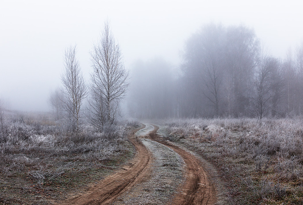 Фотографія преддверие туманного леса / Igor Bulakh  Булах Ігор / photographers.ua