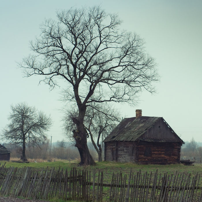 Фотографія поліська замальовка / Андрій Звиник / photographers.ua
