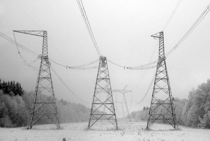 Фотографія Трус, Балбес, Бывалый... / Маргарита Лангенбах / photographers.ua