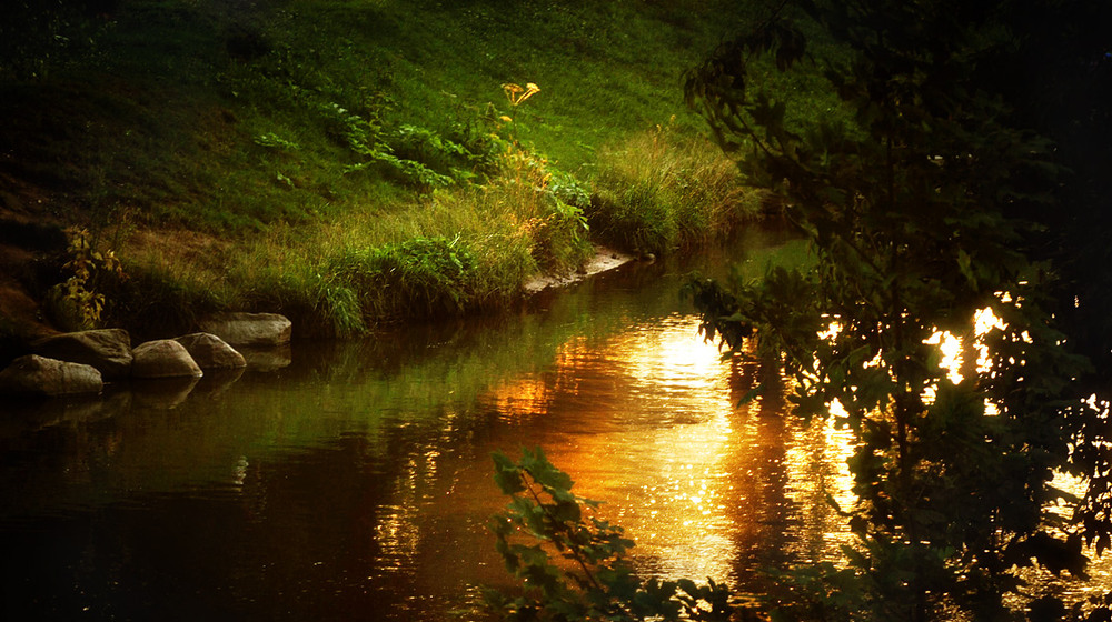 Фотографія Золота ріка / Маргарита Лангенбах / photographers.ua
