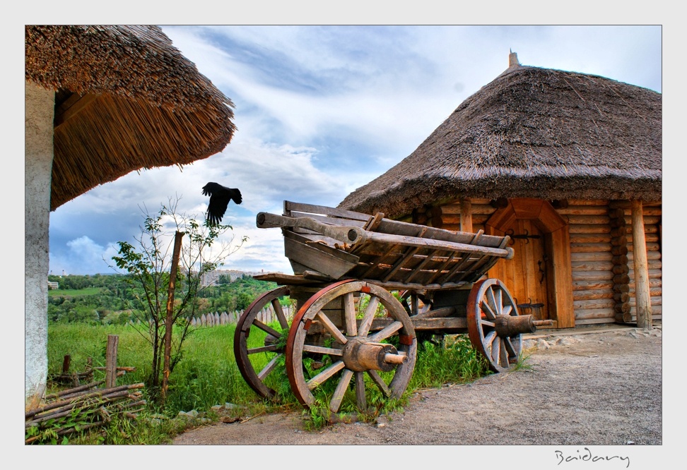 Фотографія Ворон / Сергей Андрух / photographers.ua