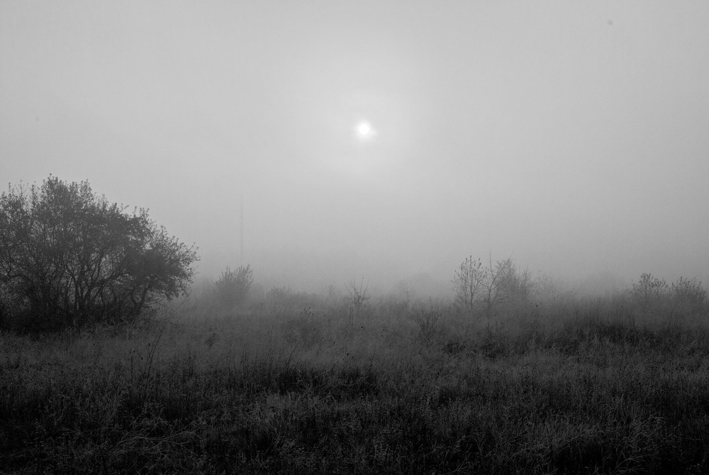 Фотографія Осенний туман / Валерий Калашников / photographers.ua