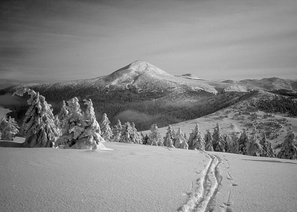 Фотографія Путешествие / Николай Данюк / photographers.ua